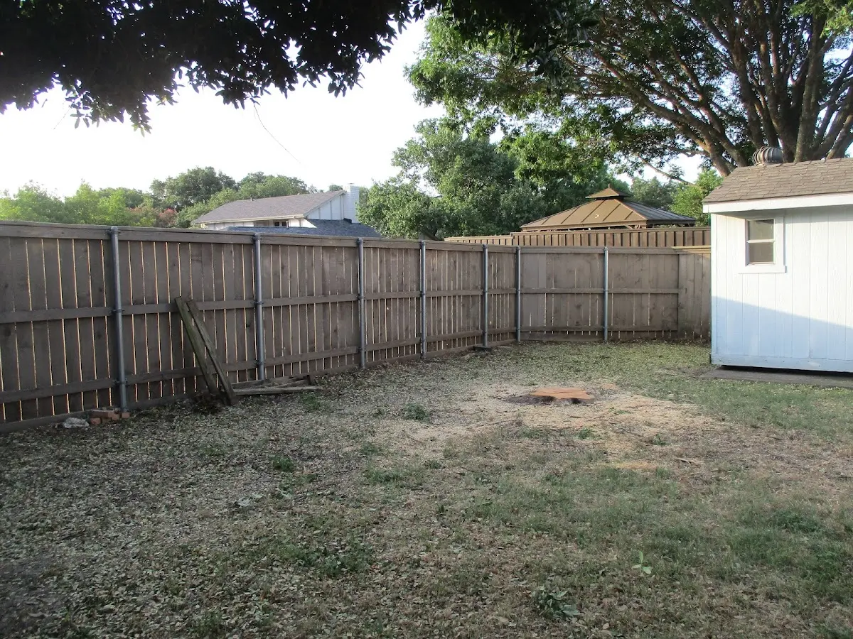 Cleared yard after professional tree removal in Cranberry Lake